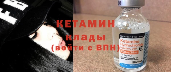 шишки Арсеньев