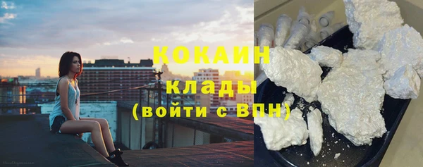 шишки Арсеньев