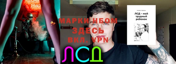 сатива Покров