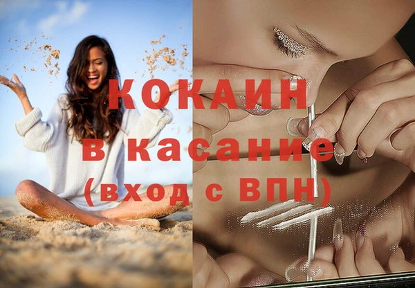 шишки Арсеньев