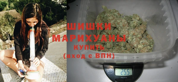 шишки Арсеньев