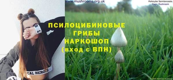 MESCALINE Аркадак
