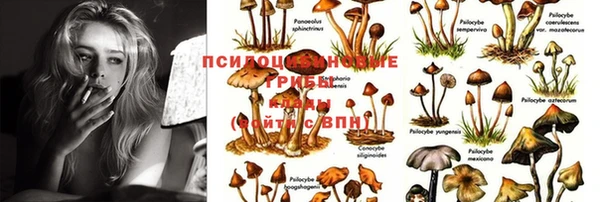 MESCALINE Аркадак