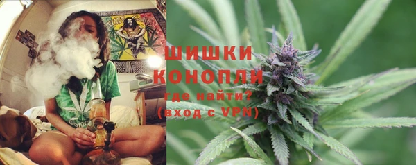 шишки Арсеньев