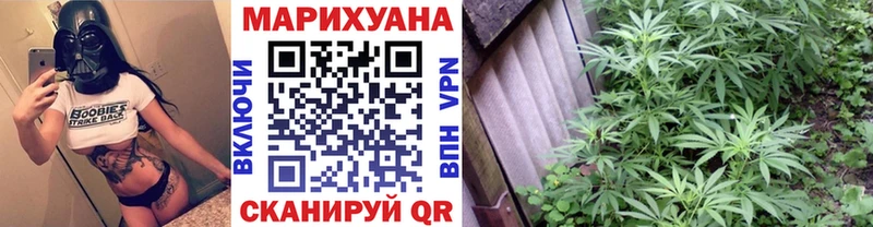 как найти закладки  Питкяранта  darknet состав  Бошки марихуана OG Kush 